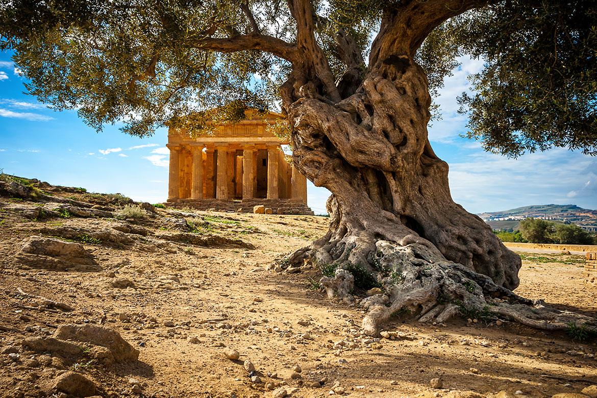 The Valley of the Temples in Agrigento